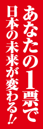あなたの1票で日本の未来が変わる　赤のぼり旗